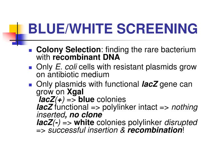 PPT Principles of cloning, vectors and cloning strategies PowerPoint