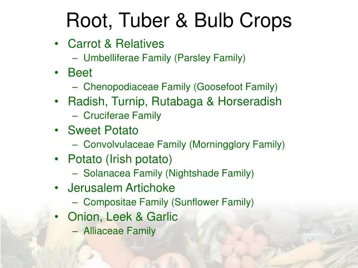 root tuber bulb crops n.