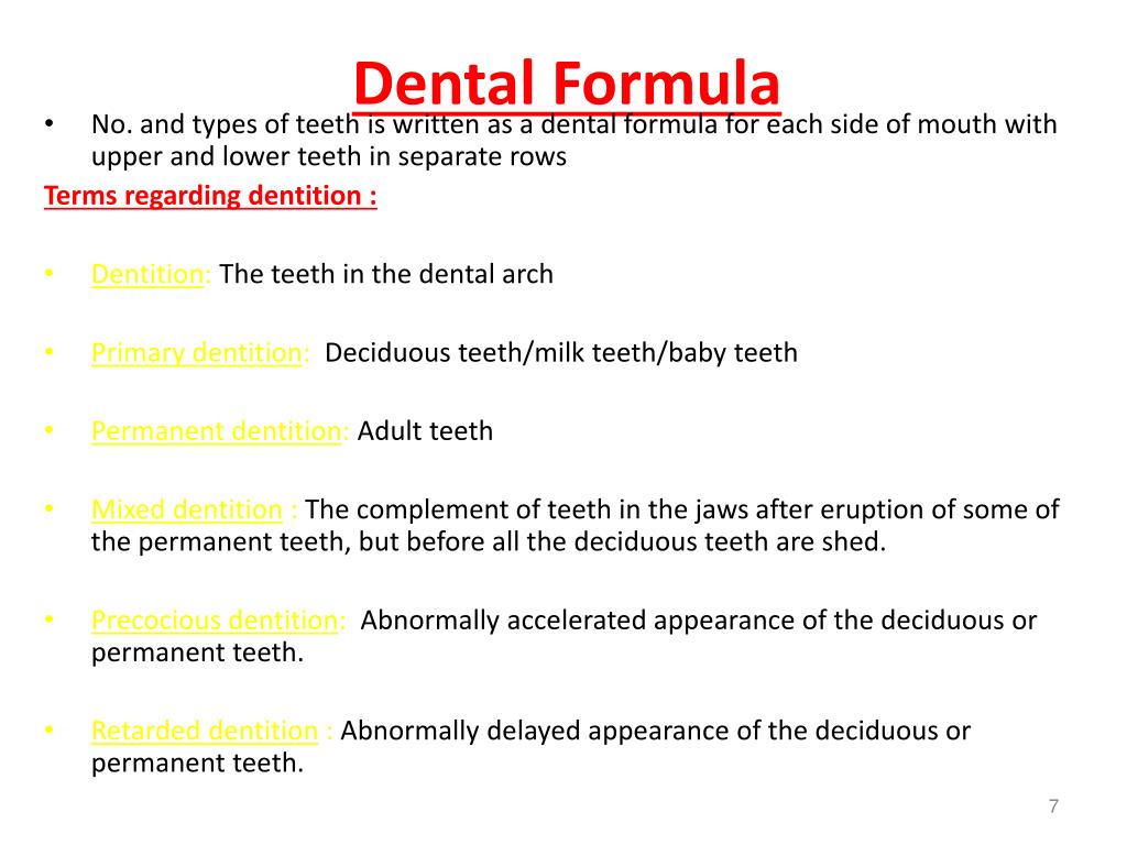 Дентал формула томск. Teeth Formula. Dental Formula. Dental Formula permanent Teeth. Formula of Milk Teeth.