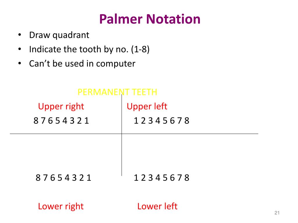 PPT - TEETH TYPES/FORMULA/ERUPTION PowerPoint Presentation, free