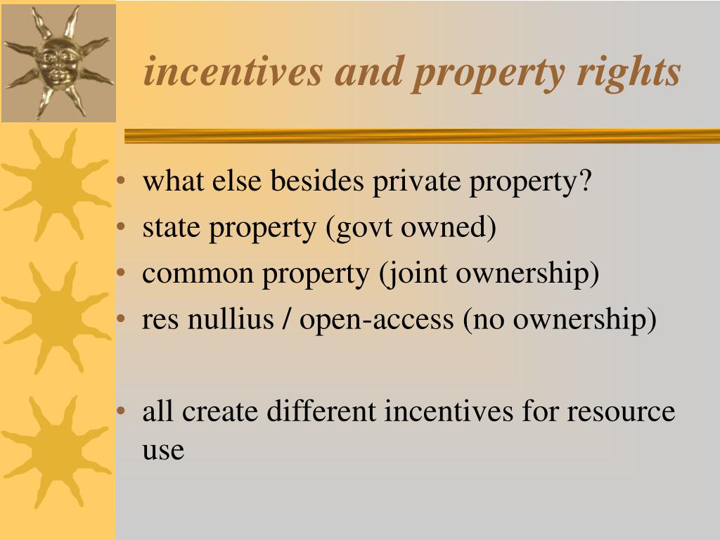 can government assignment and enforcement of property rights internalize an externality