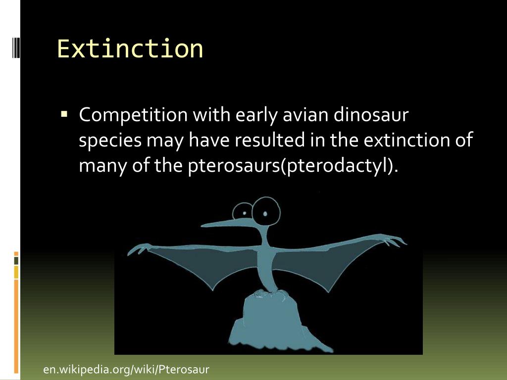 Pterodactyloidea, Fossil Wiki