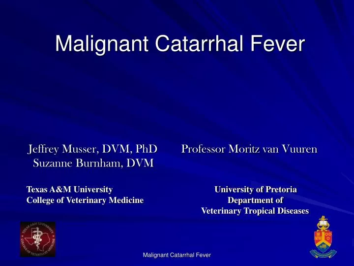 malignant catarrhal fever n.