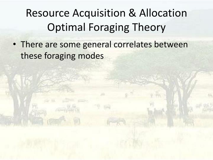 a theory of the allocation of Start studying resource allocation theory learn vocabulary, terms, and more with flashcards, games, and other study tools. a theory of the allocation of Start studying resource allocation theory learn vocabulary, terms, and more with flashcards, games, and other study tools.