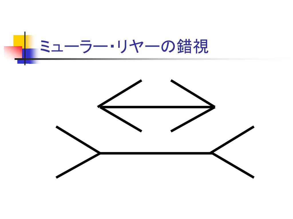 Ppt 第６回 我々が見ているのはありのままの現実か Powerpoint Presentation Id