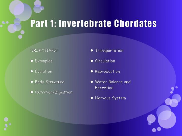 😊 Chordata examples. Chordate dictionary definition. 2019-02-12