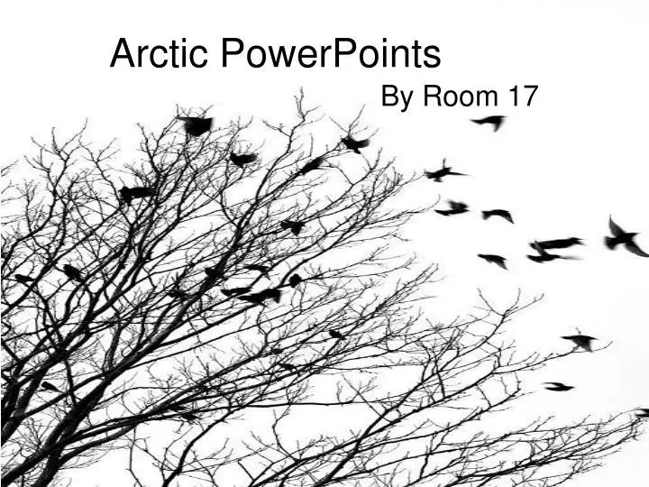arctic powerpoints n.