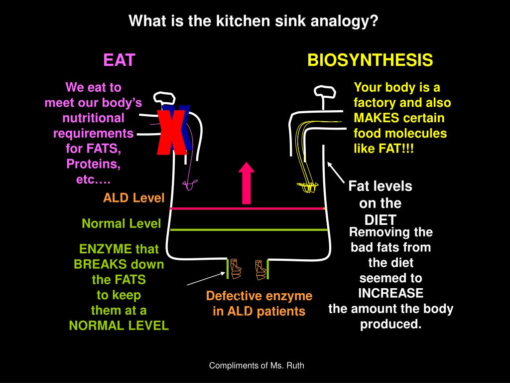kitchen sink approach psychology