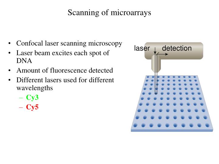 PPT - Microarray - Introduction PowerPoint Presentation - ID:1100698