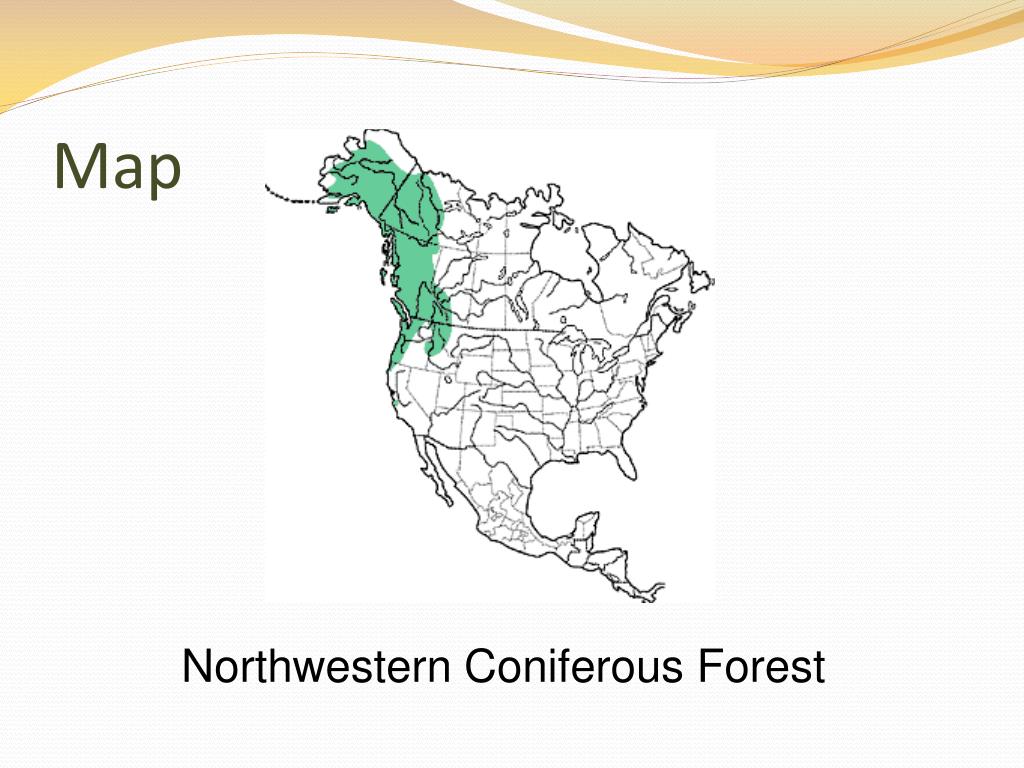 Northwest Coniferous Forest Map