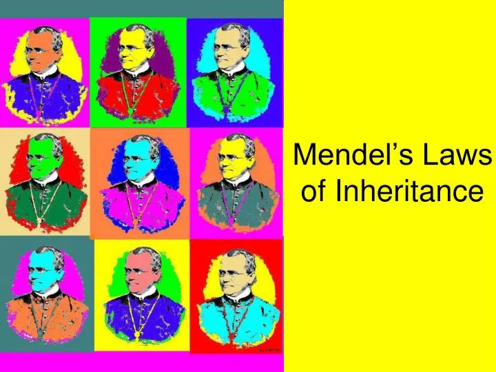 mendel s laws of inheritance n.