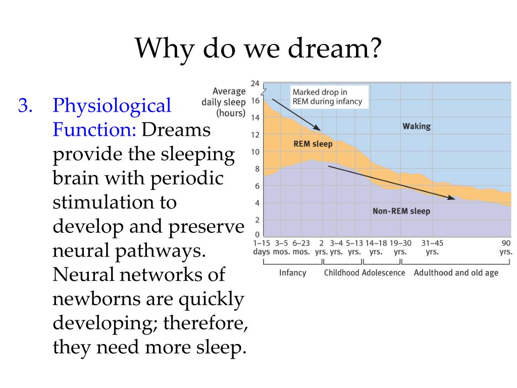 PPT - Sleep Stages PowerPoint Presentation, free download - ID:1101719
