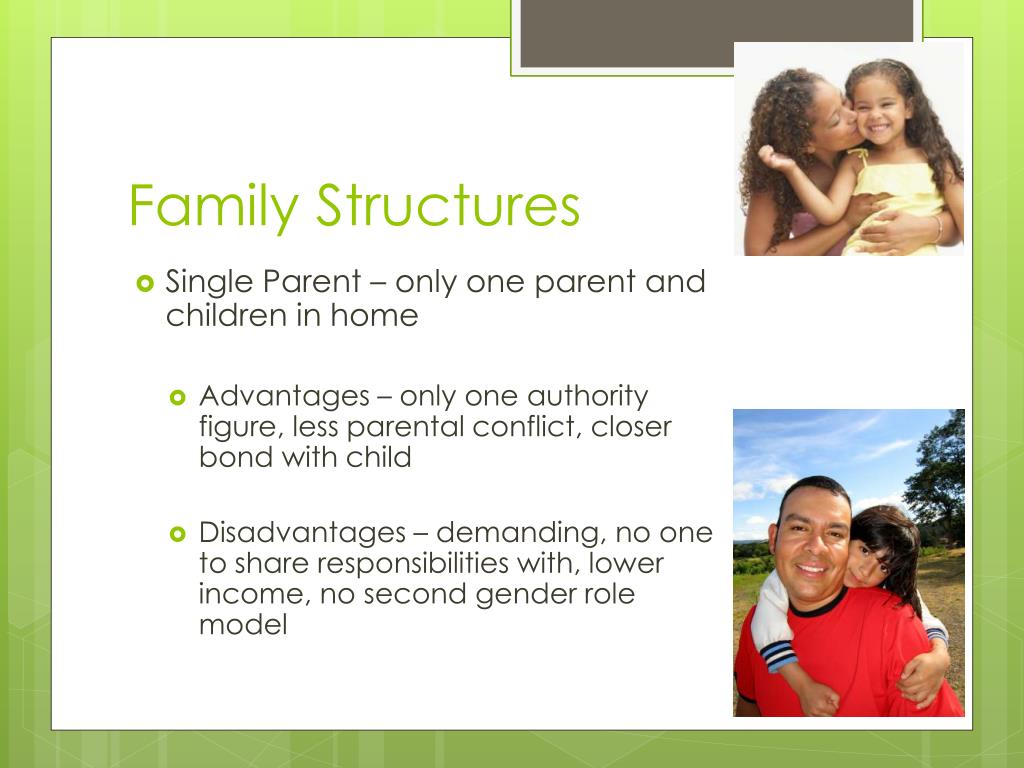 PPT - Family Life Cycle and Family Structures PowerPoint Presentation ...