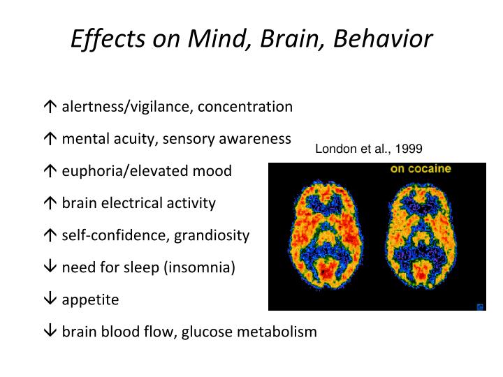 effects on the brain and behavior effects on the brain and behavior