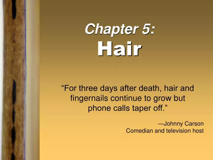 chapter 5 hair n.