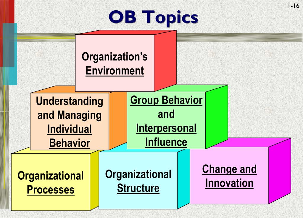 phd research topics in organisational behaviour