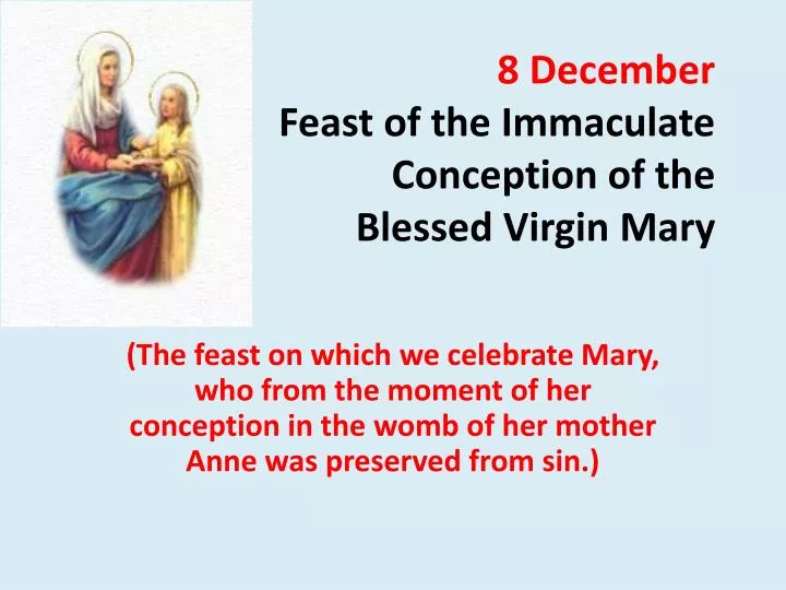 8 december feast of the immaculate conception of the blessed virgin mary n.