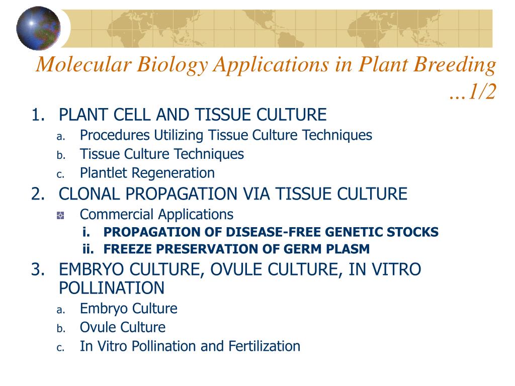 Ppt Improving Plants For The 21 St Century Powerpoint - 