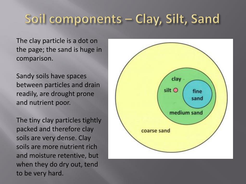 ppt-soils-powerpoint-presentation-free-download-id-1103807