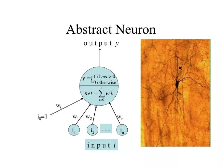 abstract neuron n.