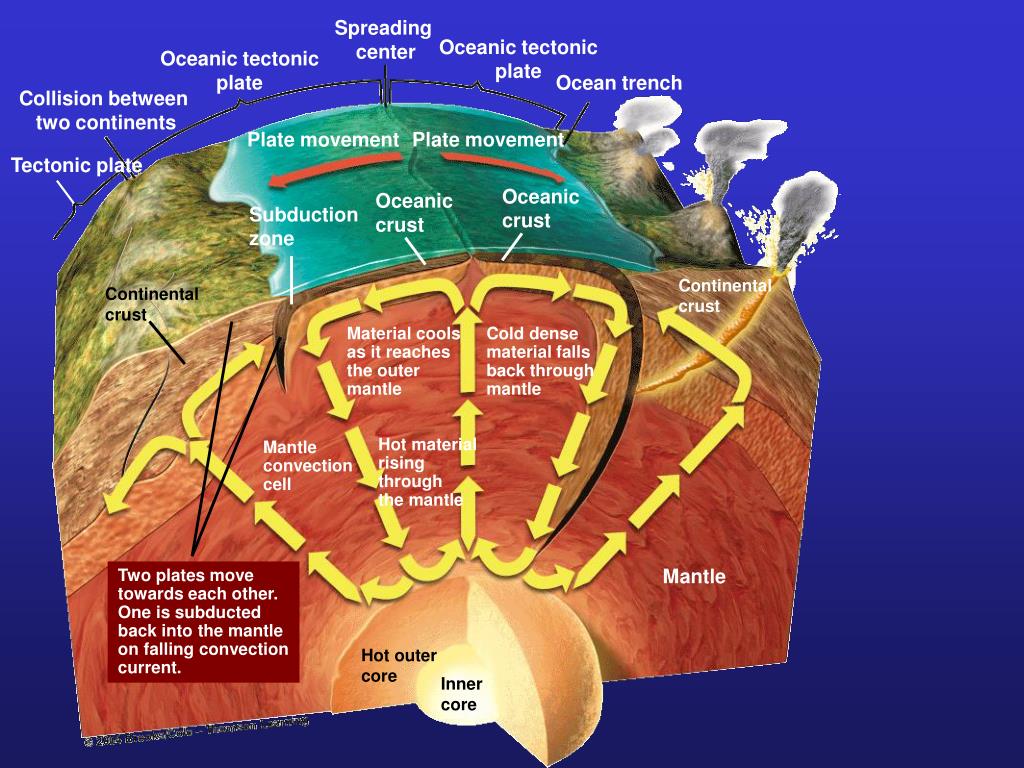 Radioactive Decay Definition Geology How Is Radioactive Dating Used 