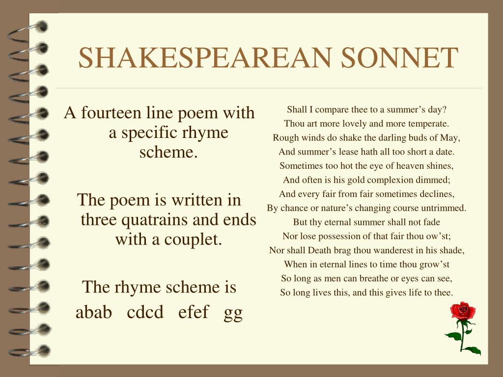 Сонет 18. Shakespeare's Sonnets. Sonnet Definition. Структура Сонета abab CDCD. Shakespeare Sonnet 46.