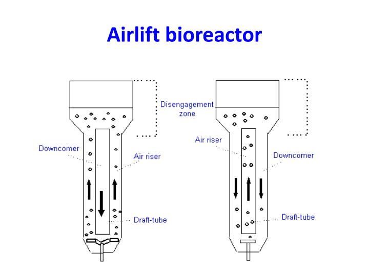 air lift fermenter
