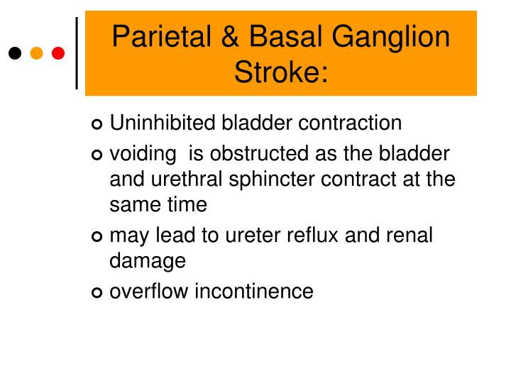PPT Managing Urinary Incontinence Post Stroke Telehealth Presentation