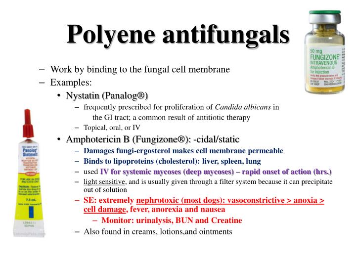 PPT Antimicrobials PowerPoint Presentation ID1107408