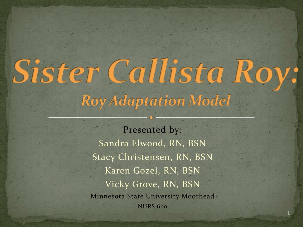 sister callista roy theory of adaptation