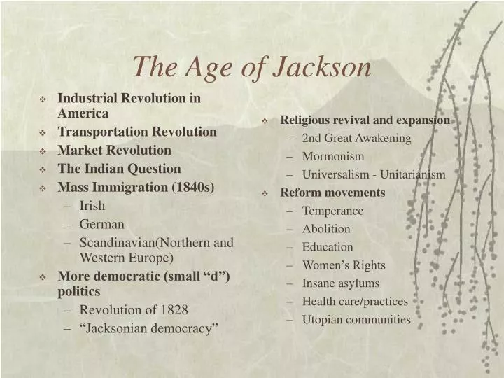the age of jackson n.