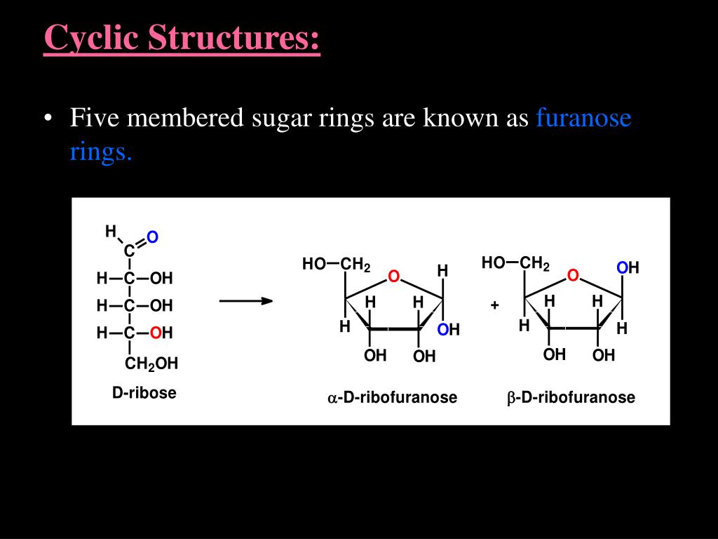 SOLVED: OH HO OH CHOH HO The Haworth diagram of tagatose shown above is  best said to represent the monosaccharide's anomer: Select one:  beta-pyranose b. alpha-furanose beta-furanose beta-pyridyl alpha-pyranose