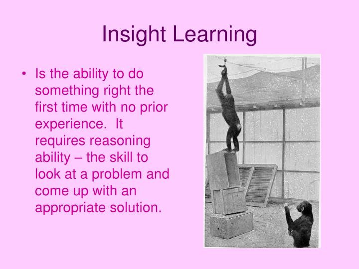 ppt animal behavior powerpoint presentation id 1108636 insight learning