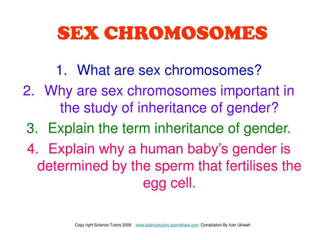 Ppt Sex Chromosomes Powerpoint Presentation Free Download Id 1109408