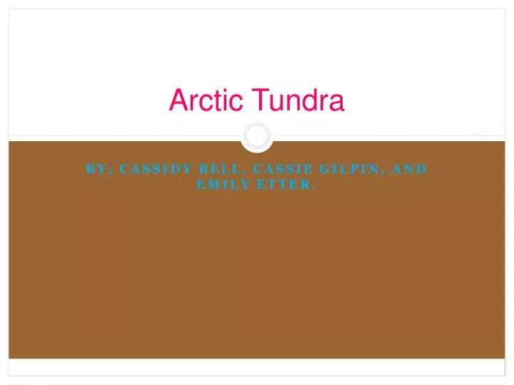 arctic tundra n.