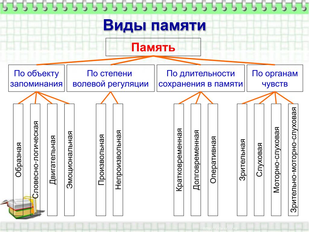 Схема запоминания информации