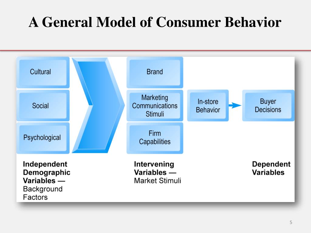 Society behavior. Модель Дженерал. Model of Consumer behaviour. Модель soc. Consumer Behavior in marketing.