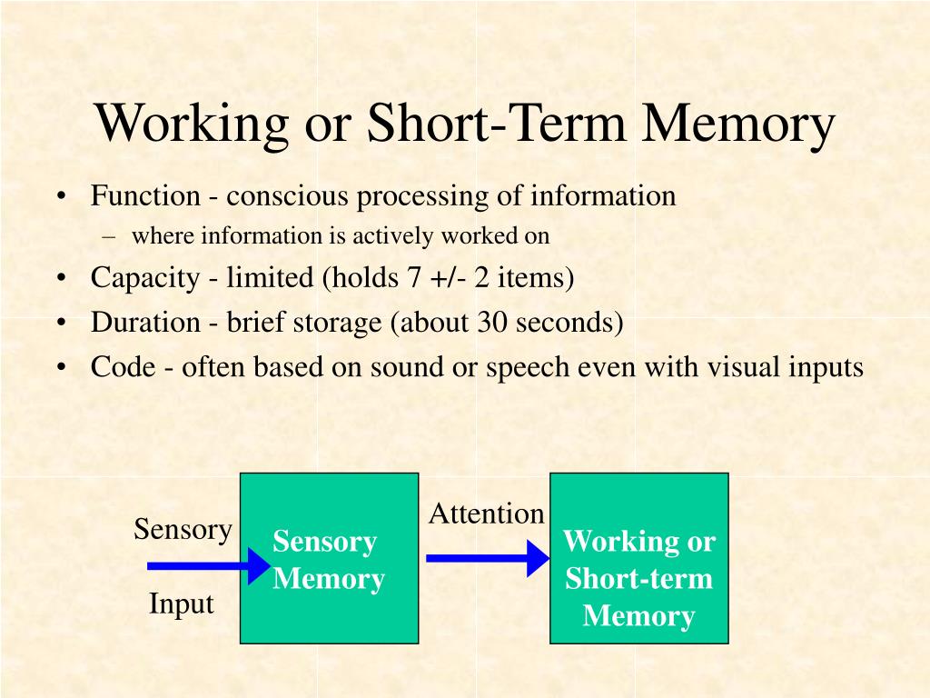 Short memory. Long short term Memory.