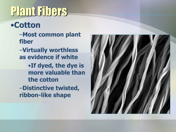 PPT Fiber Analysis PowerPoint Presentation ID1110550