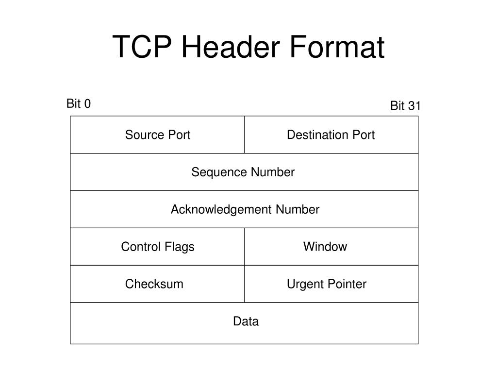 TCP/IP Layered Architecture