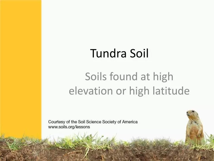 tundra soil n.
