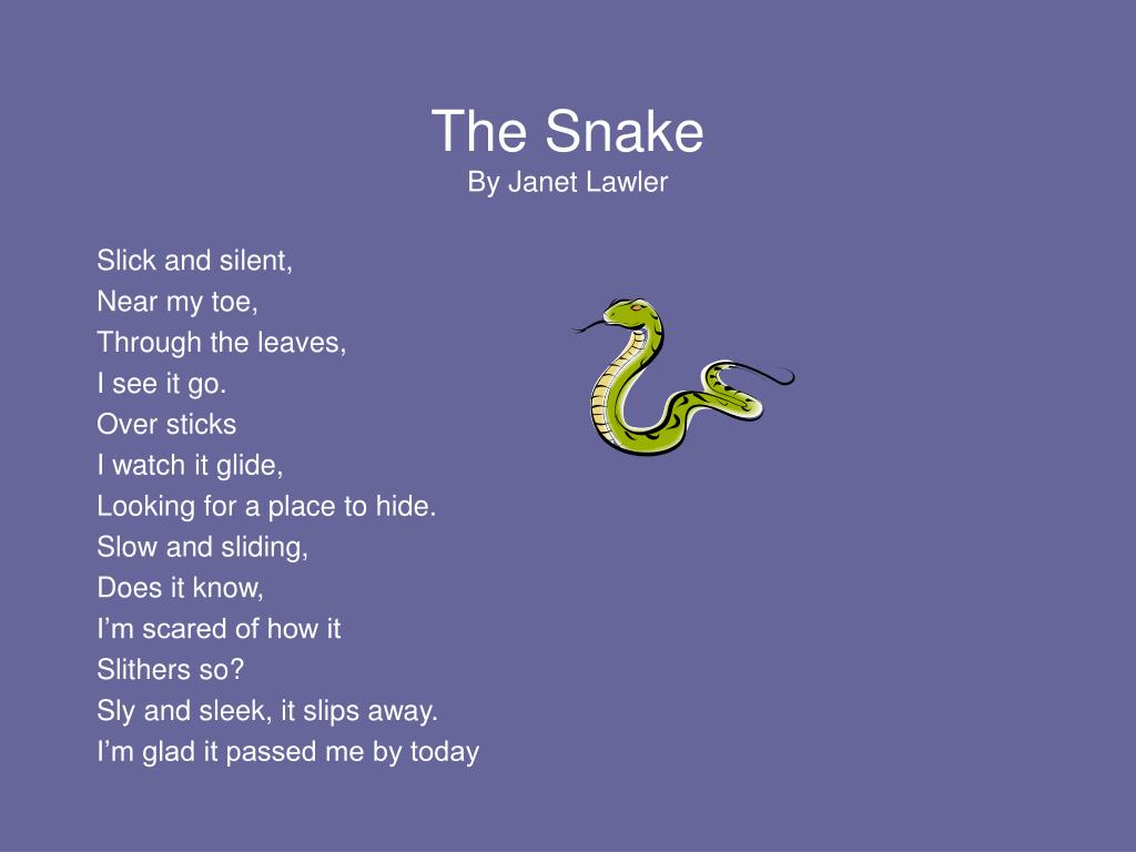 snake-in-the-grass-idiom-sentence-engleski-jezik-5-5th-year-of-learning-the-world-of