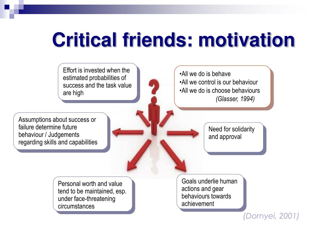 what is critical friends in research
