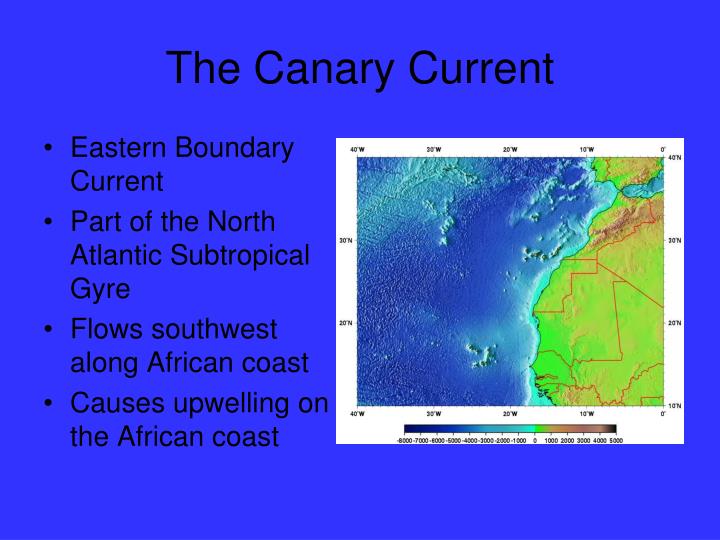 PPT - The Canary Current PowerPoint Presentation - ID:1113014