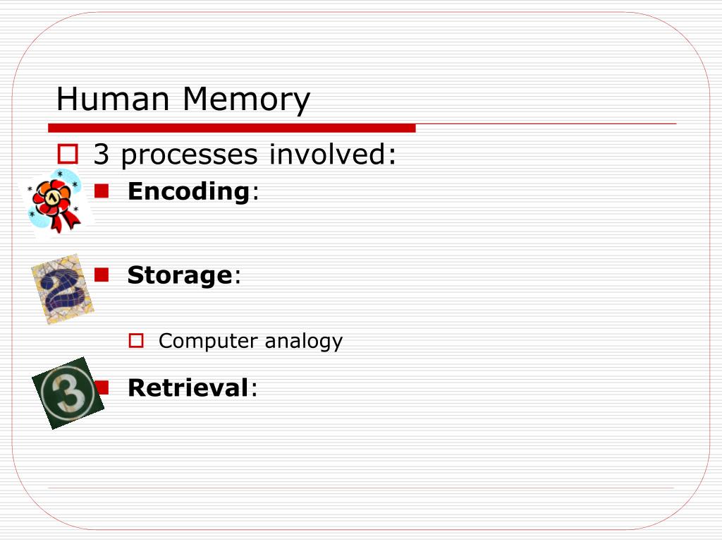 memory encoding storage retrieval