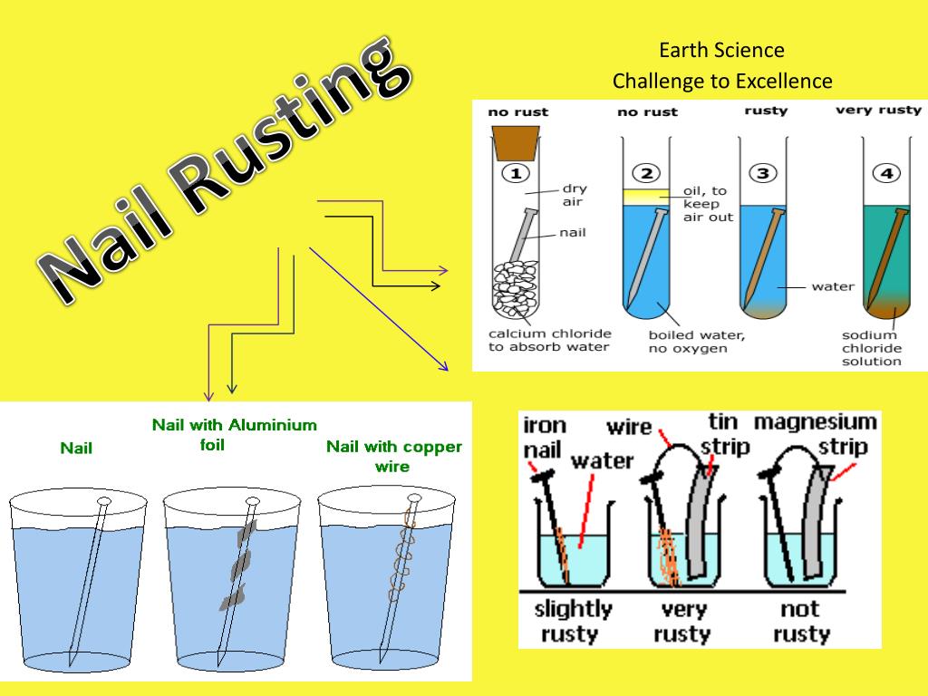 Rusting Nail Experiment: Over 36 Royalty-Free Licensable Stock  Illustrations & Drawings | Shutterstock