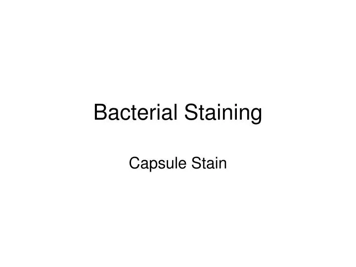 bacterial staining n.