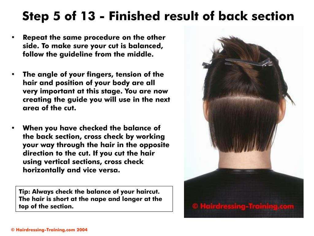 Ppt Female Haircuts Graduated Bob Powerpoint Presentation Free Download Id Ppt Female Haircuts Graduated Bob Powerpoint Presentation Free Download Id