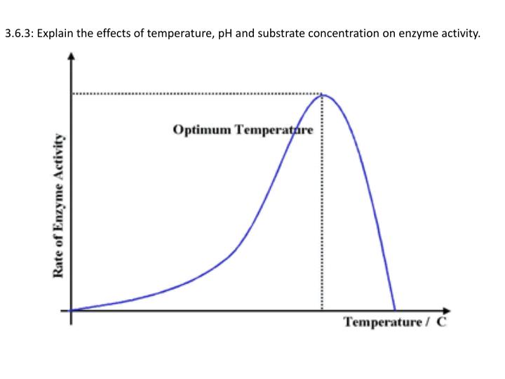 biochemistry effect of temp on Title experiment 3: enzyme kinetics experiment objectives 1 to determine the effects of substrate concentration, ph, and temperature on enzyme activity. biochemistry effect of temp on Title experiment 3: enzyme kinetics experiment objectives 1 to determine the effects of substrate concentration, ph, and temperature on enzyme activity.