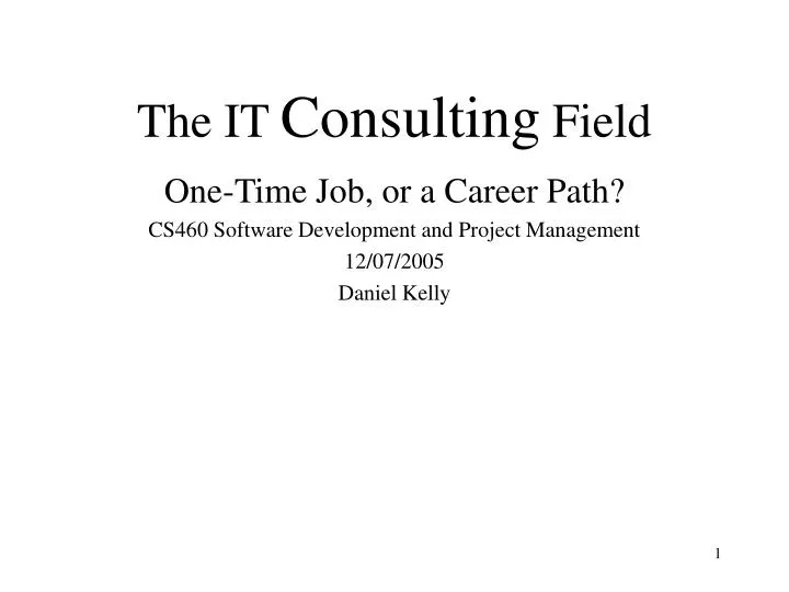 the it consulting field n.
